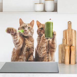 Creative Cat Drinking Green Juice PVC Wall Sticker Removable Waterproof Refrigerator Window Decor Kitchen Wall Decal Mural