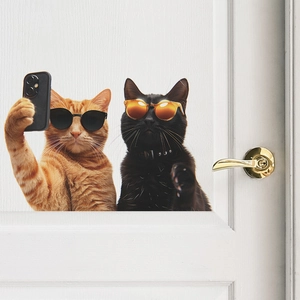 Detaillierter 3D-Katzen-Wandaufkleber mit zwei Katzen mit Sonnenbrillen auf weißer Tür