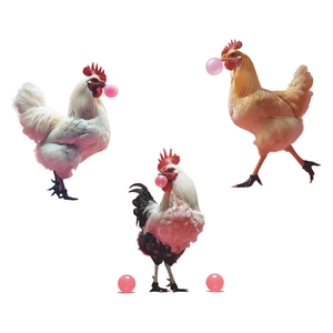 Creative bubble blowing rooster wall stickers with colorful feathers for home decor