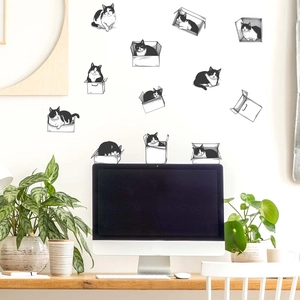 Hand-drawn cat wall decals showing playful kittens in cardboard boxes for home decor