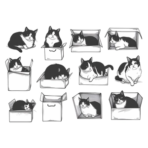 Adhesive wall decals featuring 12 hand-drawn black and white cats playing in cardboard boxes