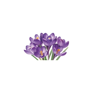 Self-adhesive purple crocus flower wall sticker for bedroom and living room decor