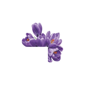 Close-up of purple crocus flower wall sticker showing detailed petals and orange stamens