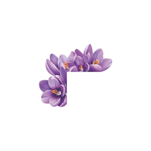 Detail of purple crocus floral wall stickers with smooth gradients on a white background