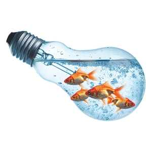 Creative bulb fish wall sticker with goldfish and water bubbles on white background