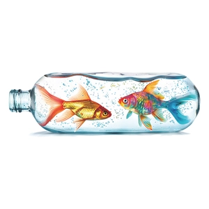 Creative glass bottle fish wall sticker with gold and rainbow goldfish for home decor