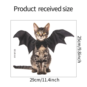 Detail showing dimensions 29cm x 25cm for the black bat wings and bowtie pet costume set