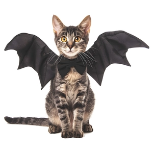 Cat Halloween costume featuring black bat wings and matching bow tie on white background