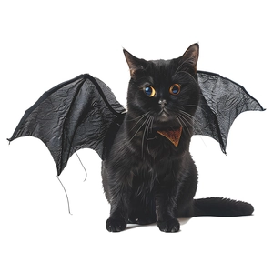 Detail showing the textured black bat wing costume on a cat for Halloween theme