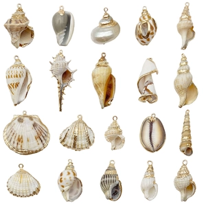 Set di ciondoli in conchiglie naturali dorate con anelli metallici per gioielli fai da te