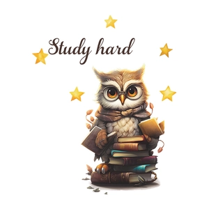 Detailed cartoon owl reading books with Study Hard text for kids room wall decor