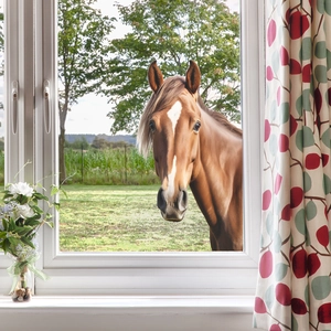 Sticker mural 3D réaliste cheval marron fenêtre avec rideaux pour décoration