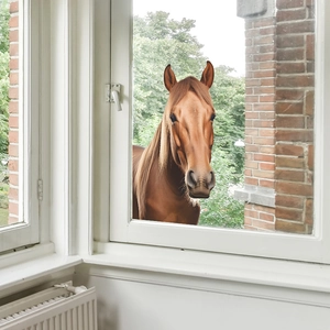 Realistic Brown Horse Head 3D Window Decal PVC Self Adhesive Wall Sticker For Kids Room Nursery Home Decor