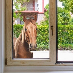 Realistic 3D brown horse head window sticker for kids room wall and glass decoration