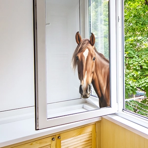 Gros plan détaillé d'un sticker mural 3D tête de cheval appliqué sur une fenêtre