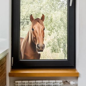 Detail view of 3D peekaboo brown horse wall sticker for kids rooms on glass window
