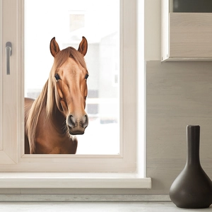 Cartoon brown horse head wall sticker for kids room decor on white window frame