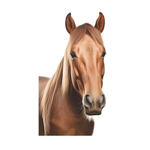Self-adhesive brown horse head wall sticker for nursery decor with realistic hair details