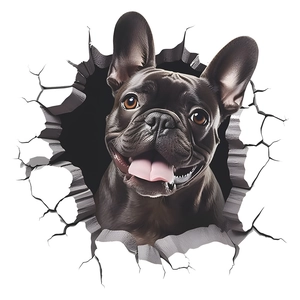 3D realistic black French Bulldog breaking through wall creative self-adhesive wall sticker