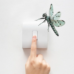 Detailed view of a green 3D dragonfly wall sticker placed near a light switch