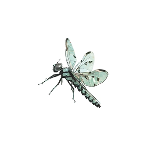 Mint green and black dragonfly wall sticker decoration for home light switches