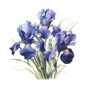 Detailed close-up of blue-purple Iris flower wall stickers with realistic textures
