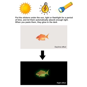 Comment les stickers poissons absorbent la lumière pour briller la nuit sous l'eau sombre