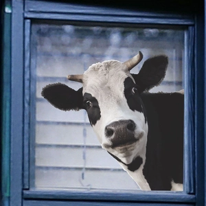 Self-adhesive cartoon cow wall sticker showing a curious cow peeking through a blue window