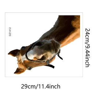 Detailed size chart showing horse head wall decal dimensions 29cm by 24cm with item number