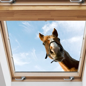 3D decorative wall sticker featuring a realistic brown horse looking through a wooden window