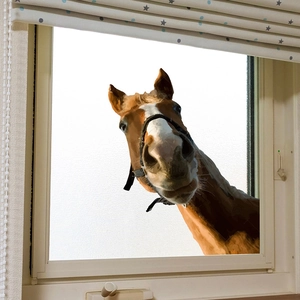 Realistic brown horse head window sticker for home decor with creative 3D peeking effect