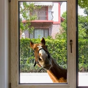 Cartoon horse head 3D wall sticker window decal for home bedroom and glass decoration
