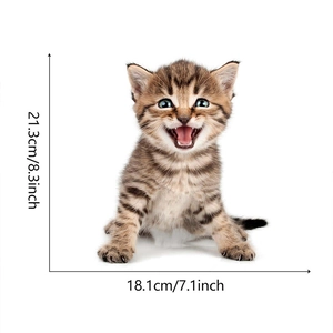 Detailed dimensions of a realistic brown tabby kitten wall sticker, 21.3cm by 18.1cm size