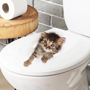 3D realistic brown tabby kitten toilet sticker showing life-like cat popping out of a hole