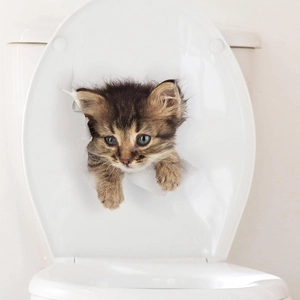Detailed view of a 3D ginger tabby kitten wall sticker applied on a white toilet lid