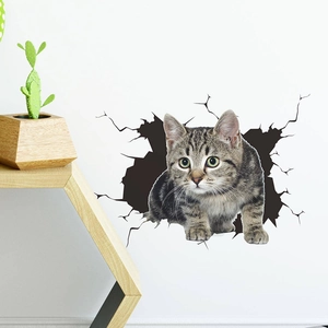3D realistic gray tabby kitten wall sticker appearing to break through a white wall