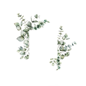 Watercolor eucalyptus leaves square border wall sticker for home decor with green plants