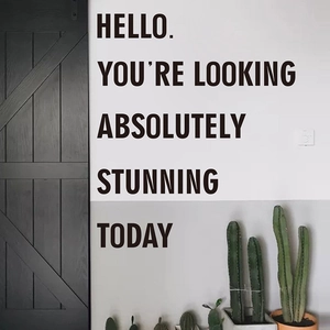 Modern black Hello You Are Looking Stunning wall sticker for home and office decoration