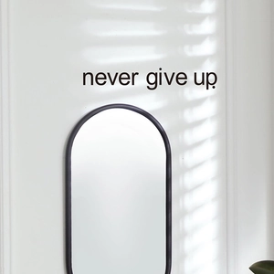 Minimalist capsule shaped wall mirror with black frame and never give up wall quote