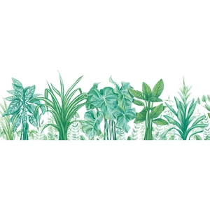 Tropical green plant wall stickers featuring monstera and palm leaves for home decor