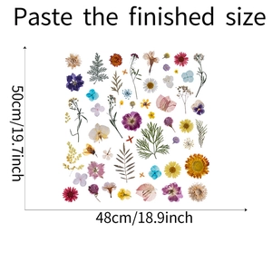 Floral wall decal set dimensions showing 48cm by 50cm finished size for home decor