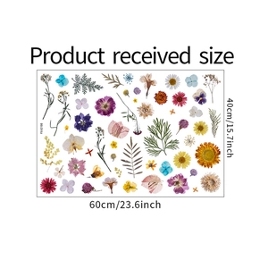 Self-adhesive dried flower wall stickers set with floral elements size 40x60cm