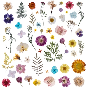 Assorted natural dried flowers and green leaves set for DIY wall decor and crafts