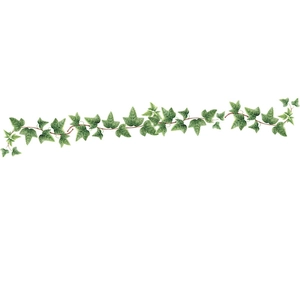 Self-adhesive green ivy leaf wall sticker for home bedroom and living room decor
