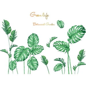 Detail of tropical monstera and palm leaves wall stickers with watercolor green texture