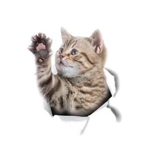Adesivo gatto 3D dettagliato con gattino tabby che spunta da un foro rotto realistico