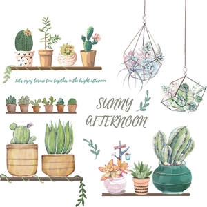 Detail of watercolor succulent wall stickers featuring hanging pots and wooden shelves