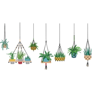 Detail of bohemian woven plant hangers and green potted succulents on white background