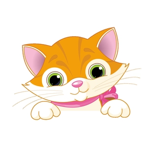 Cute cartoon orange and white cat wall sticker with large green eyes and pink bow