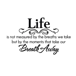 Inspirational Life quote wall decal with decorative flourishes for home wall decor